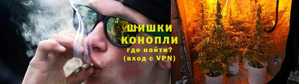 молекула духа Нягань