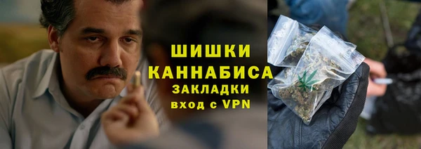 молекула духа Нягань