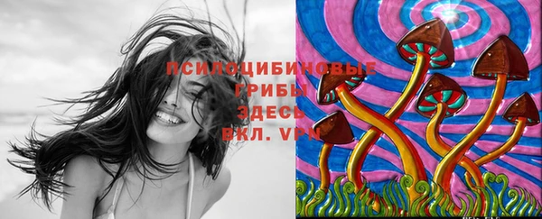 ECSTASY Осинники
