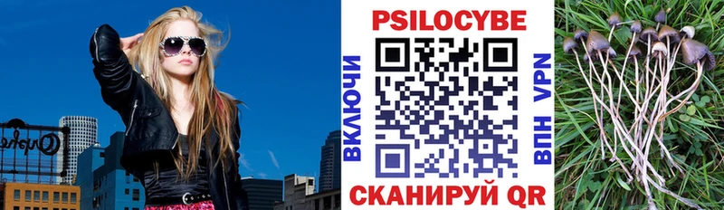 Галлюциногенные грибы ЛСД  Бирюч 