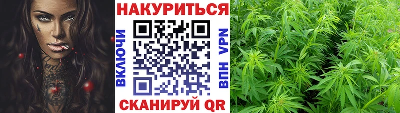 цена Бирюч Марихуана OG Kush